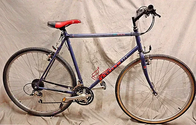 1993 Raleigh CT Series 300 City Hybrid Bike 23" XX-Large Aluminum USA Made Cafe~