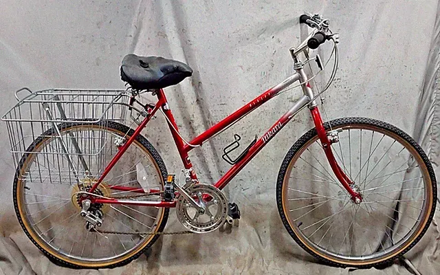 1994 Takara Blazer Cruiser Bike Small Steel Step-Thru Steel RETRO MTB X BIKING!!
