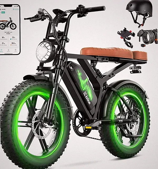 Electric Bike for Adults,1500W Peak Motor Ebike with 48V 15/15 * 2Ah Dual Remova
