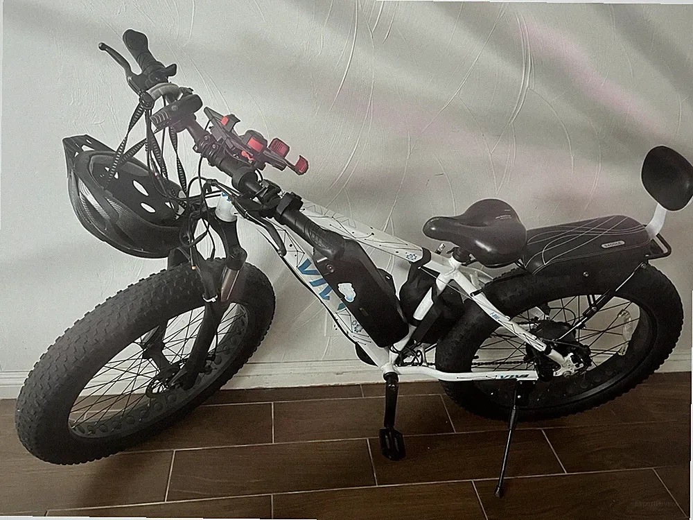 Cantilever Fat Tire Bike